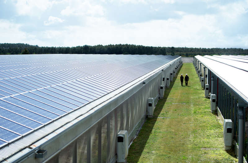Solar plant Lue, France